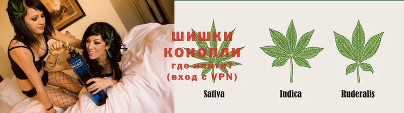 Бошки марихуана LSD WEED  где найти наркотики  Новое Девяткино 